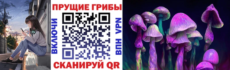 mega ссылка  Очёр  Галлюциногенные грибы Cubensis 